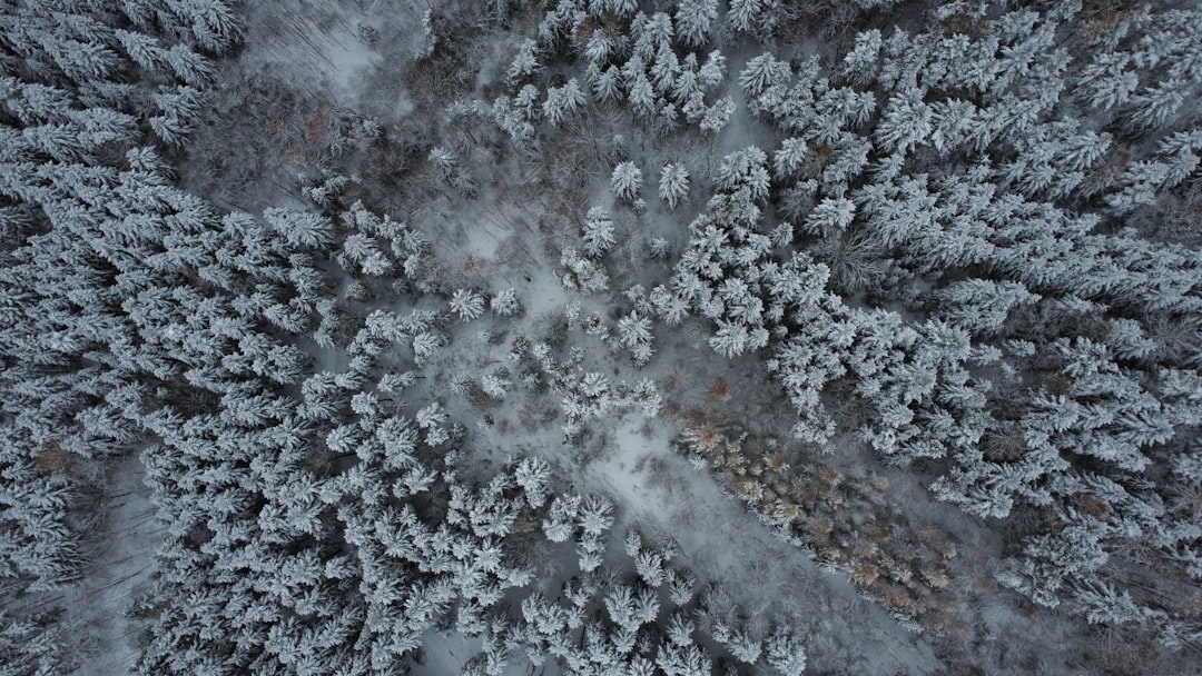 Sell land in Nevada