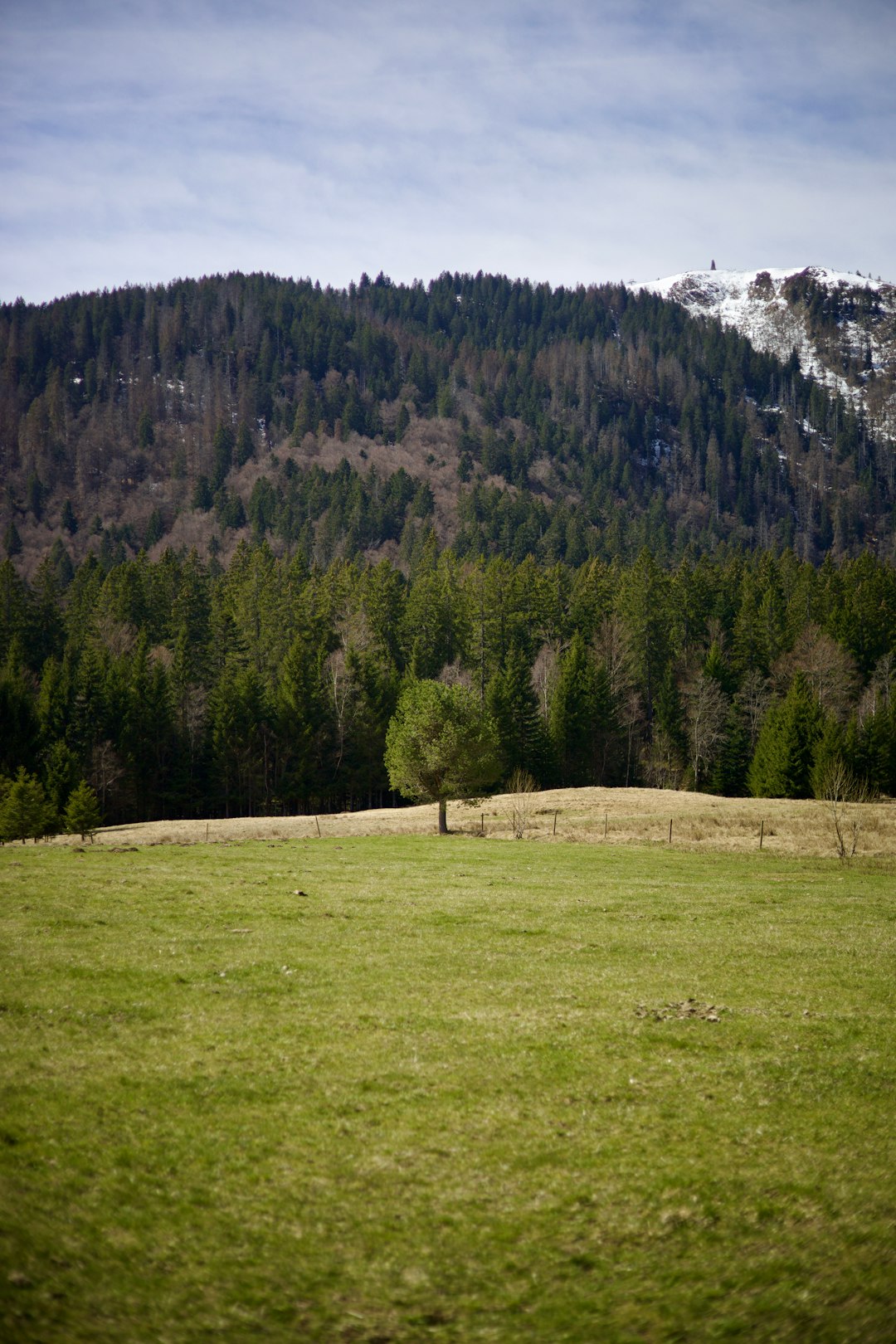 Sell Wyoming land for cash