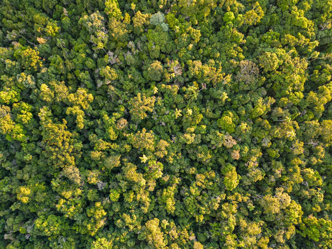 Iowa land buyer