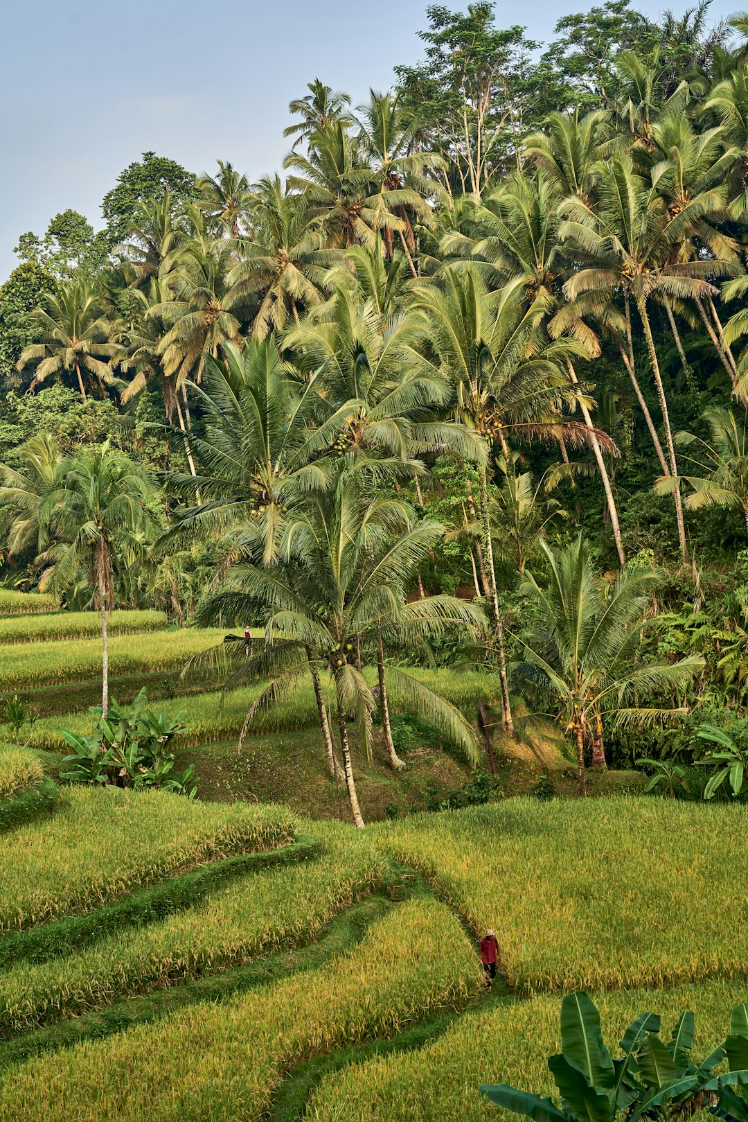 Discussing Offers: Exactly How to Speak with Landowners