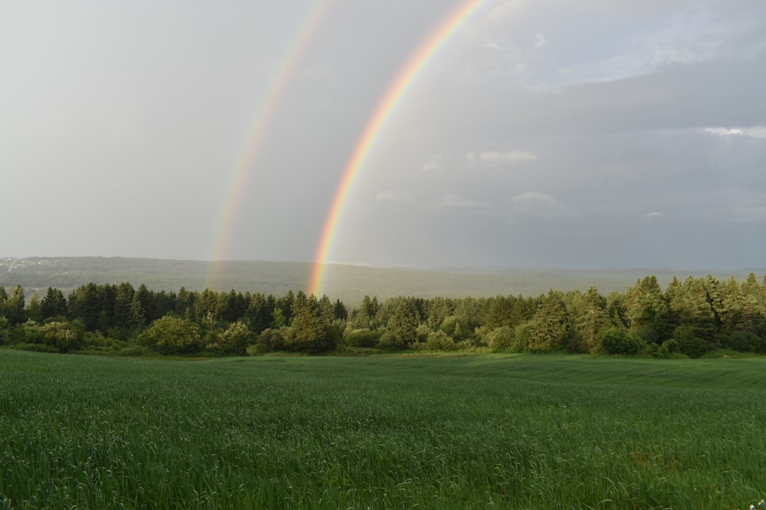 Investment potential in Montana land