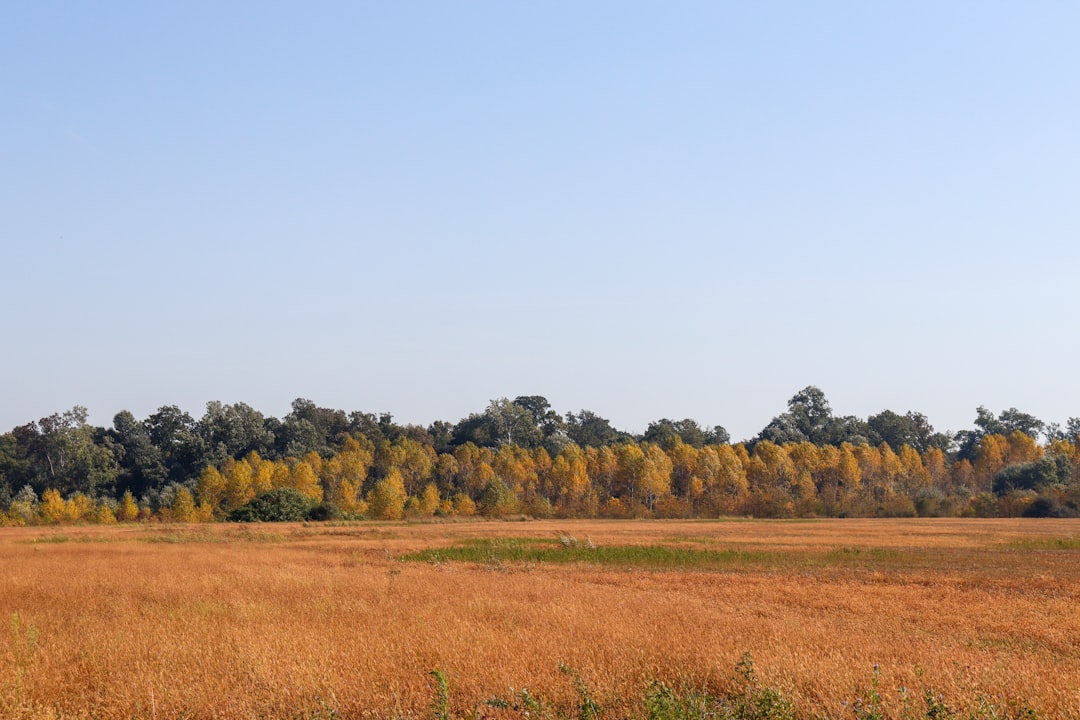 Preparing land title documents