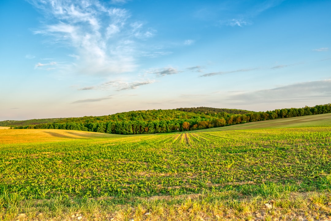 After the Sale: Handling Your Funds