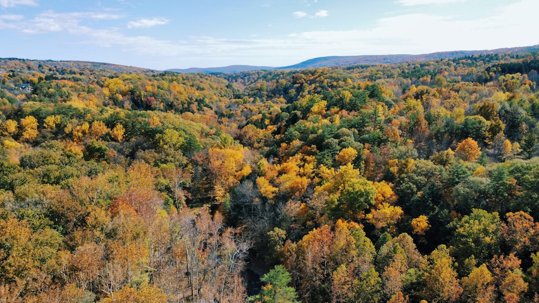 Sell Nebraska land for cash