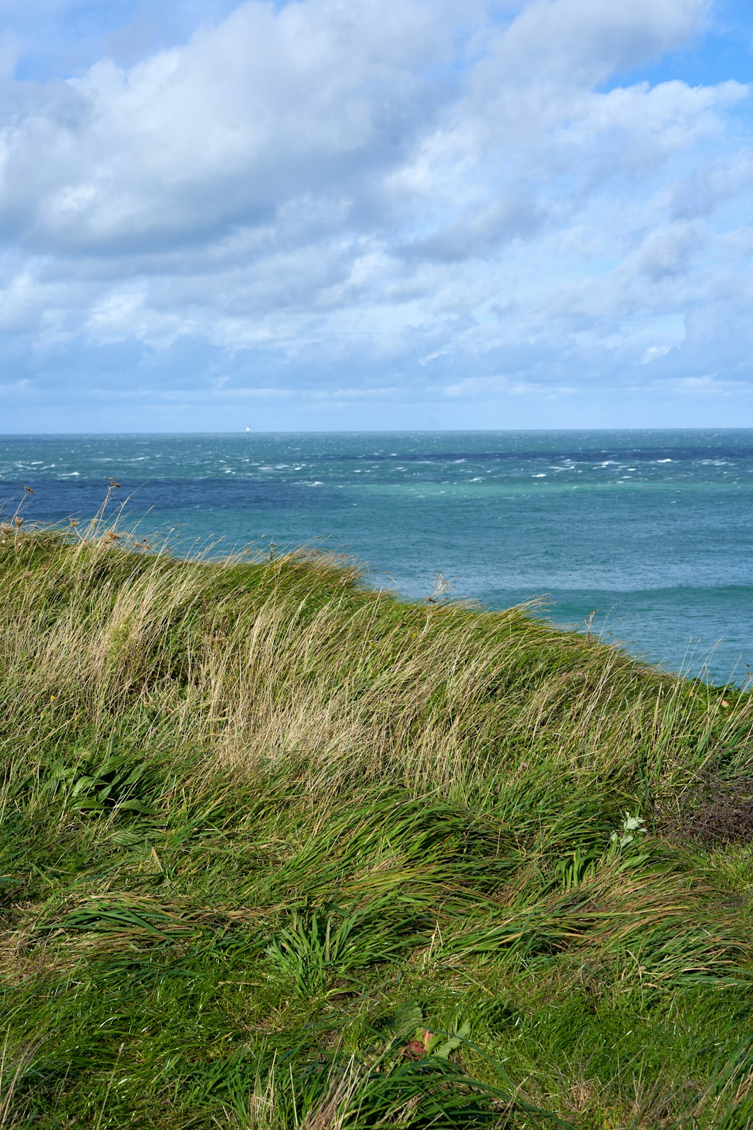 Preparing Your North Dakota Land available for sale