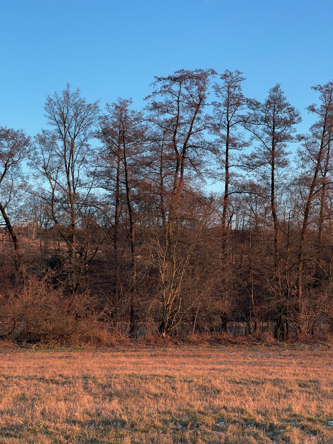 Closing the Offer on Your North Dakota Land