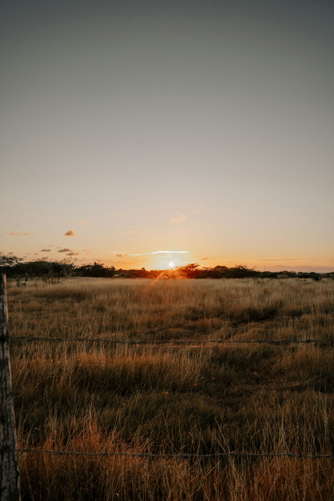 Marketing Your Land in North Dakota