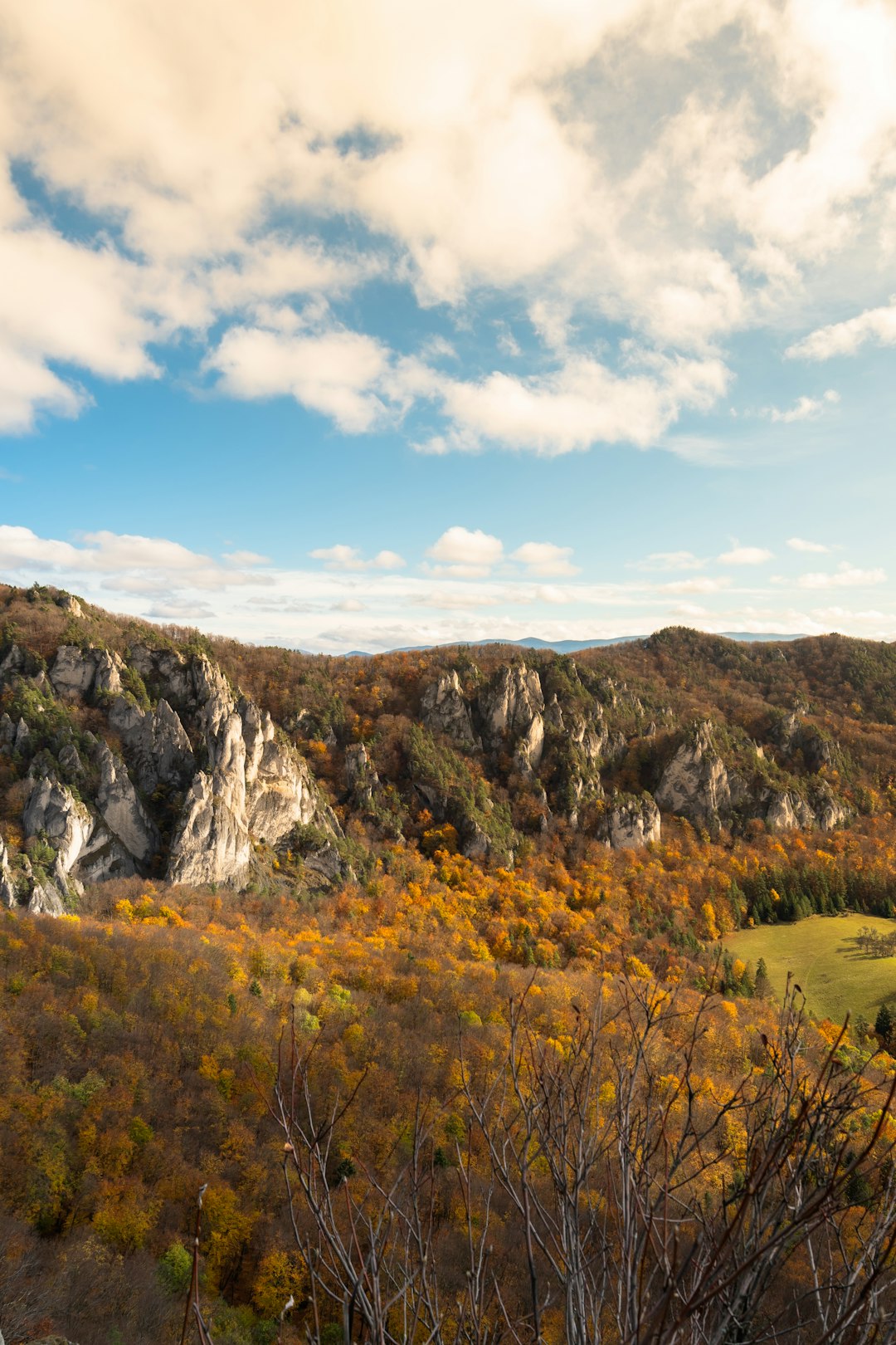 Maine land buyer