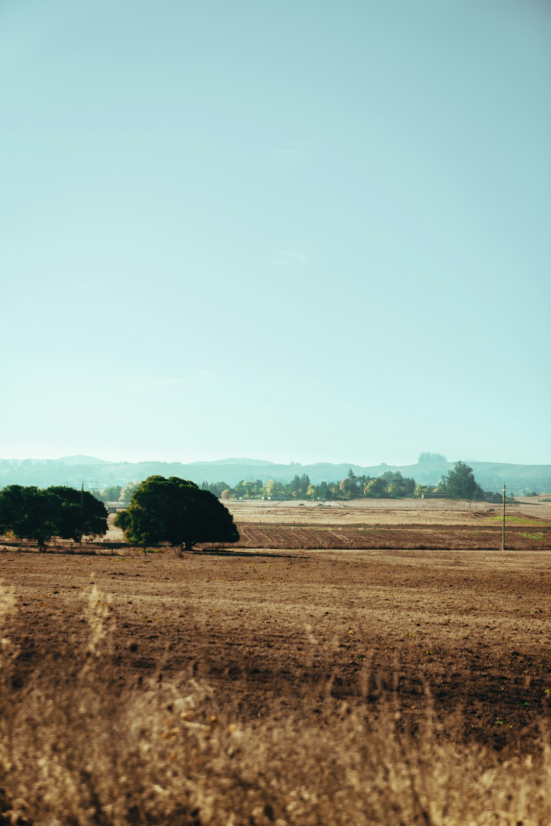 Developing Your Sanctuary in the Wild