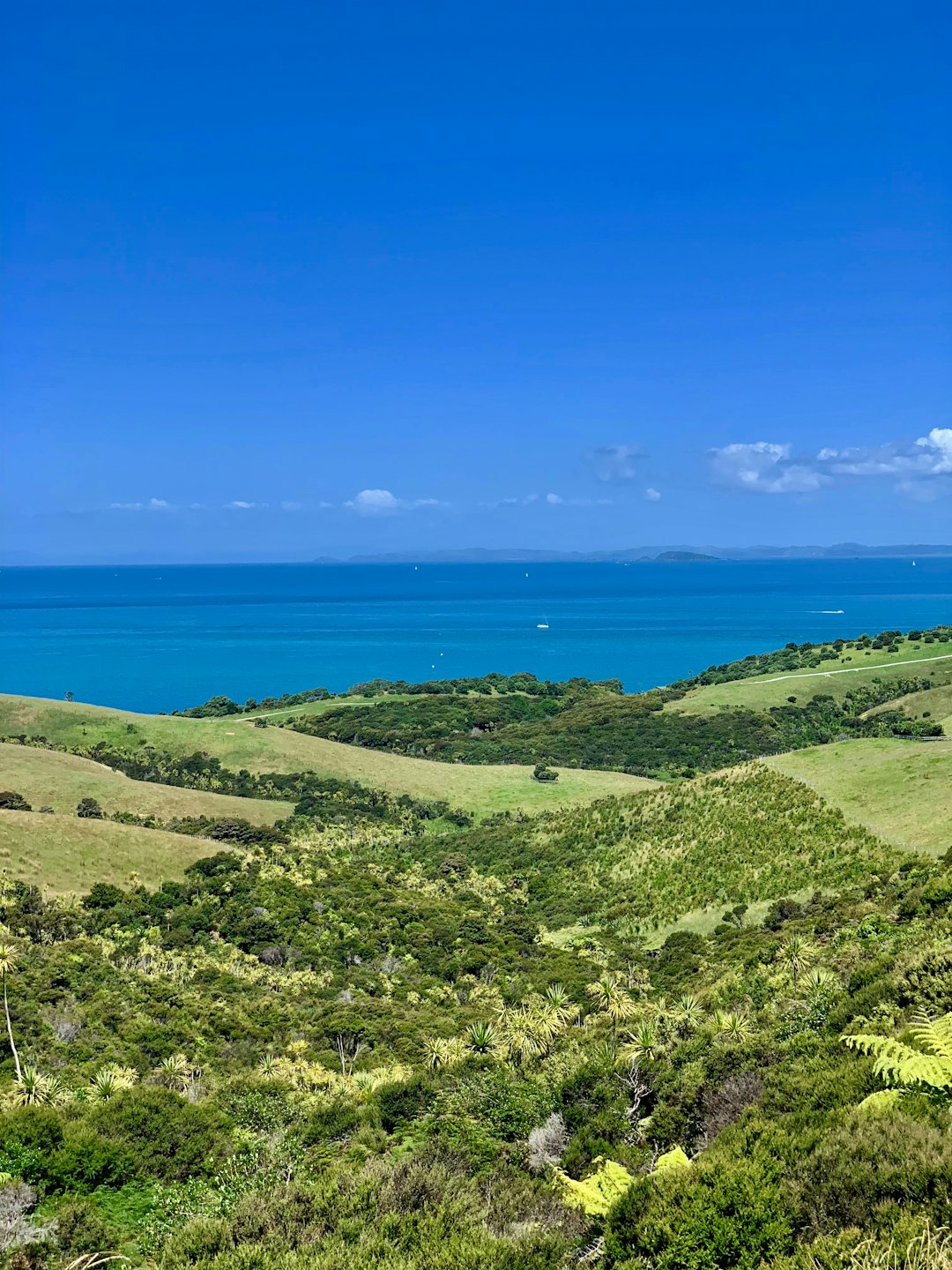 Producing Your Sanctuary in the Wilderness