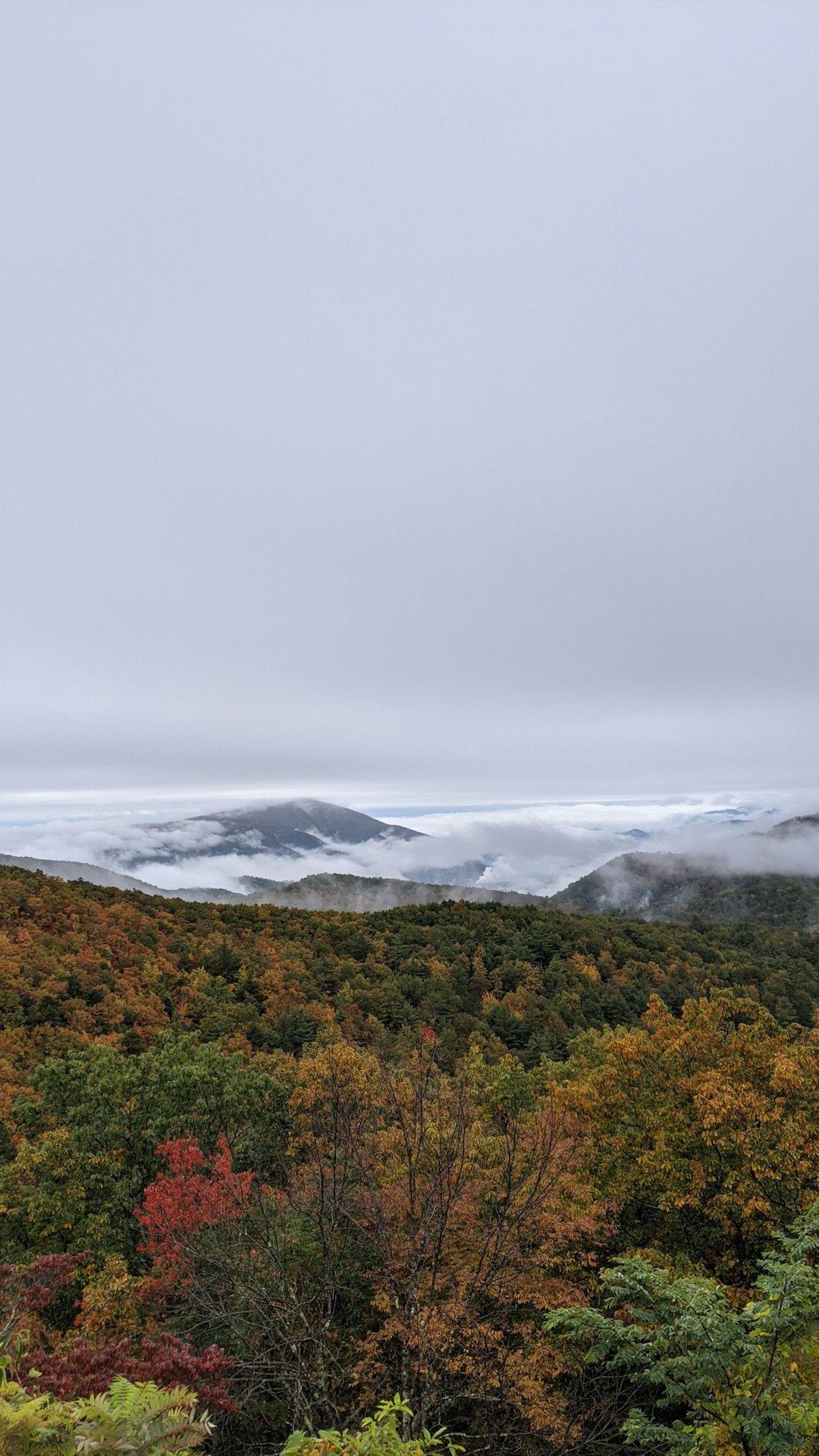 Building and Creating on Remote Maine Land