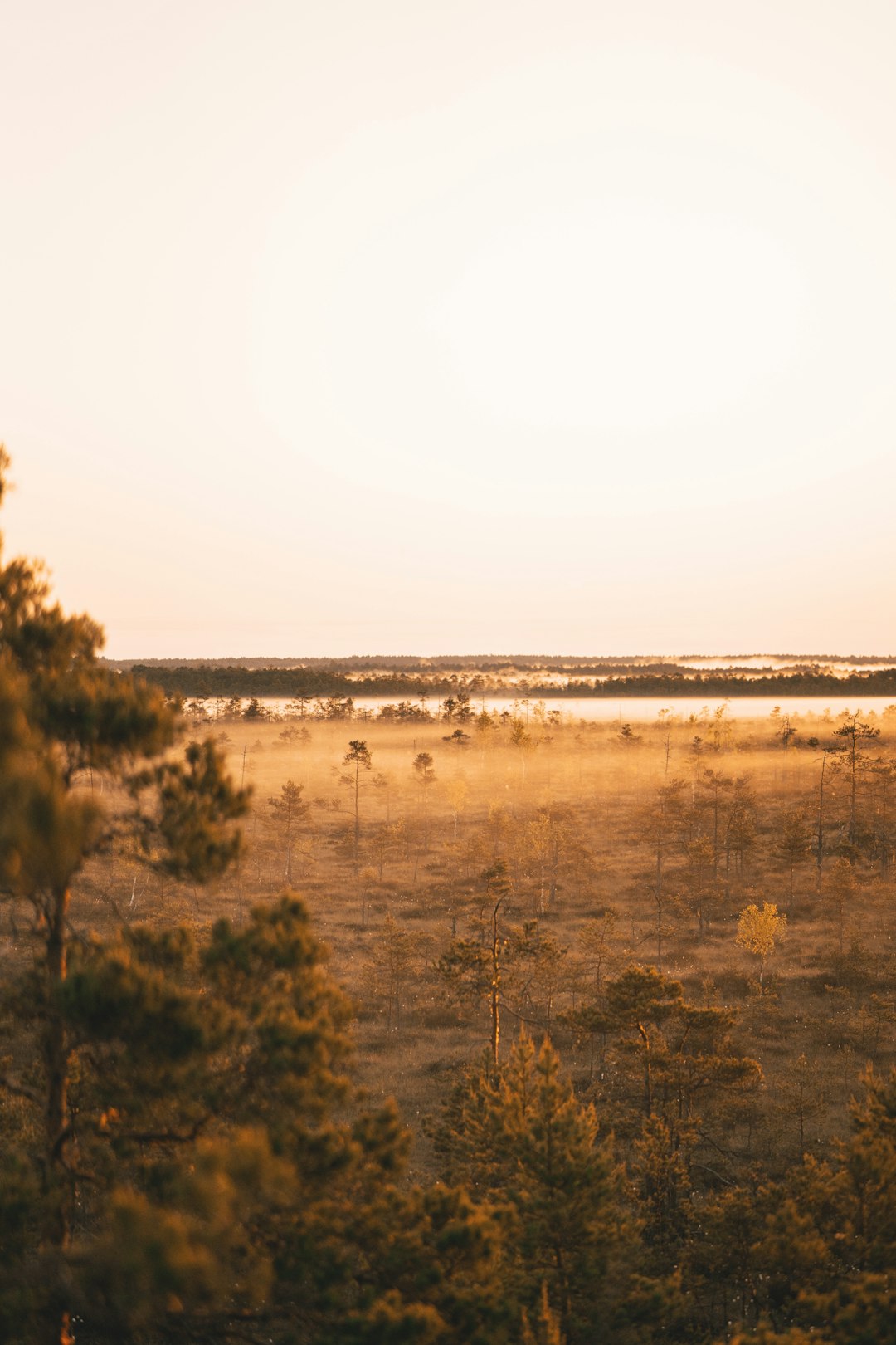 Building and Developing on Remote Maine Land