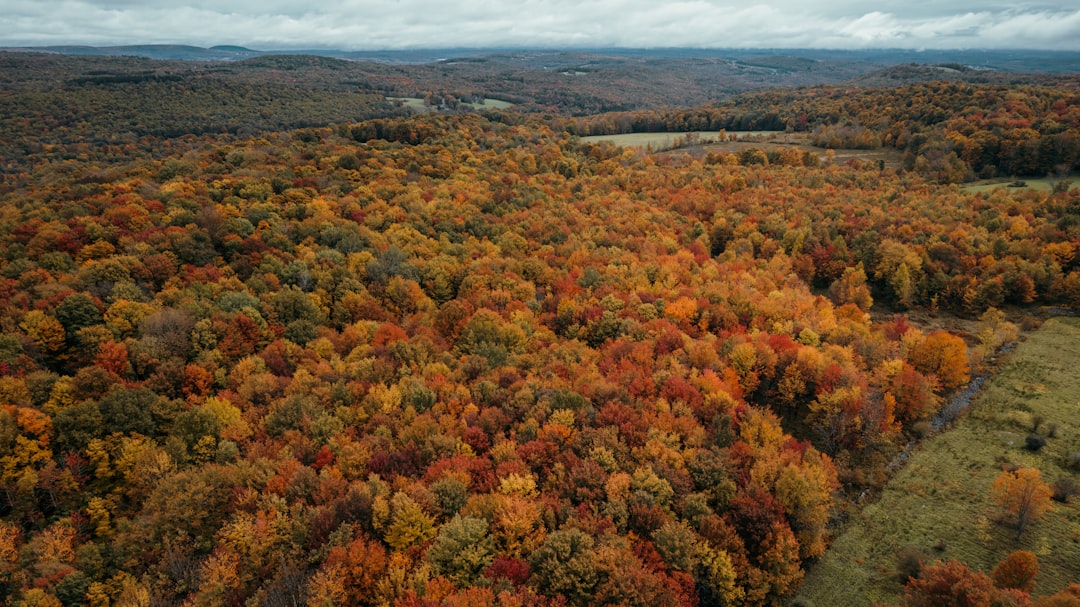 Sell New Jersey land for cash