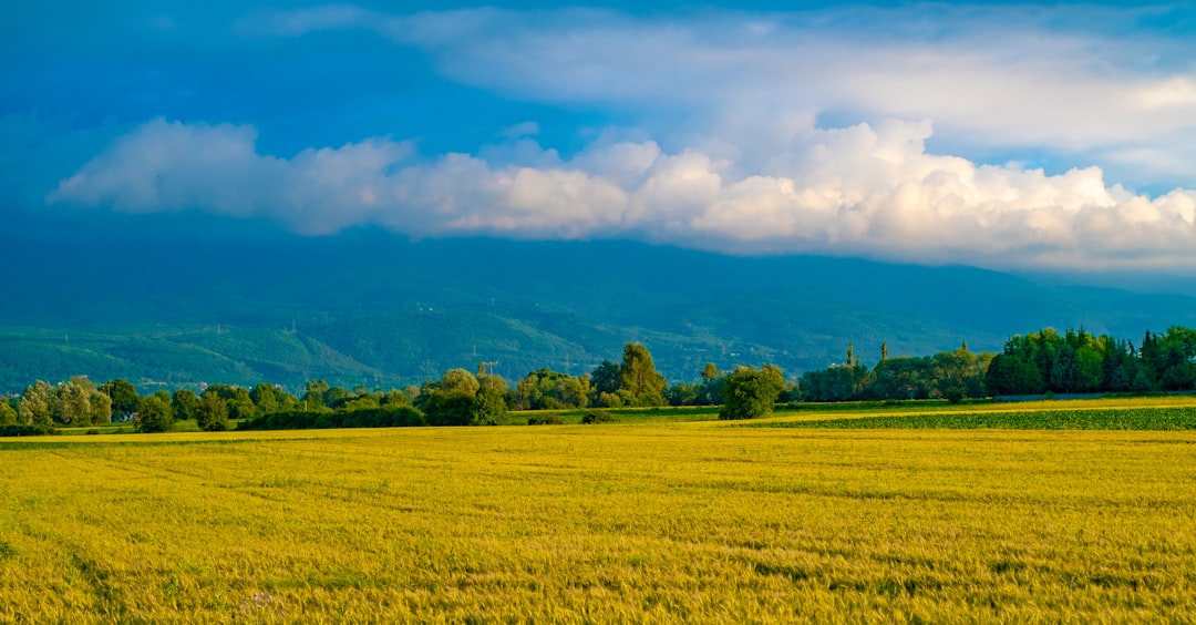 Sell New Hampshire land for cash