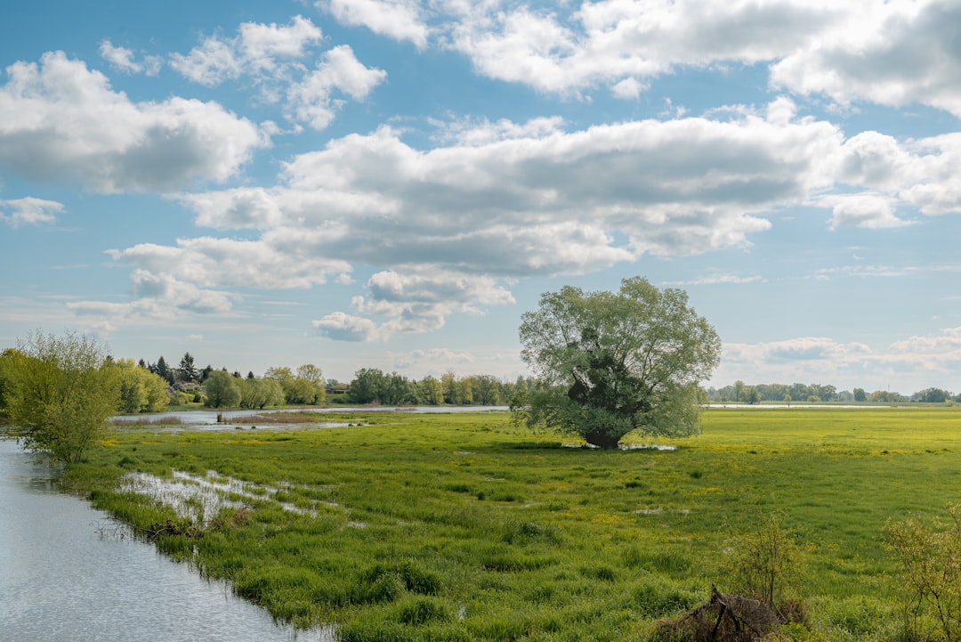 Rural land transactions