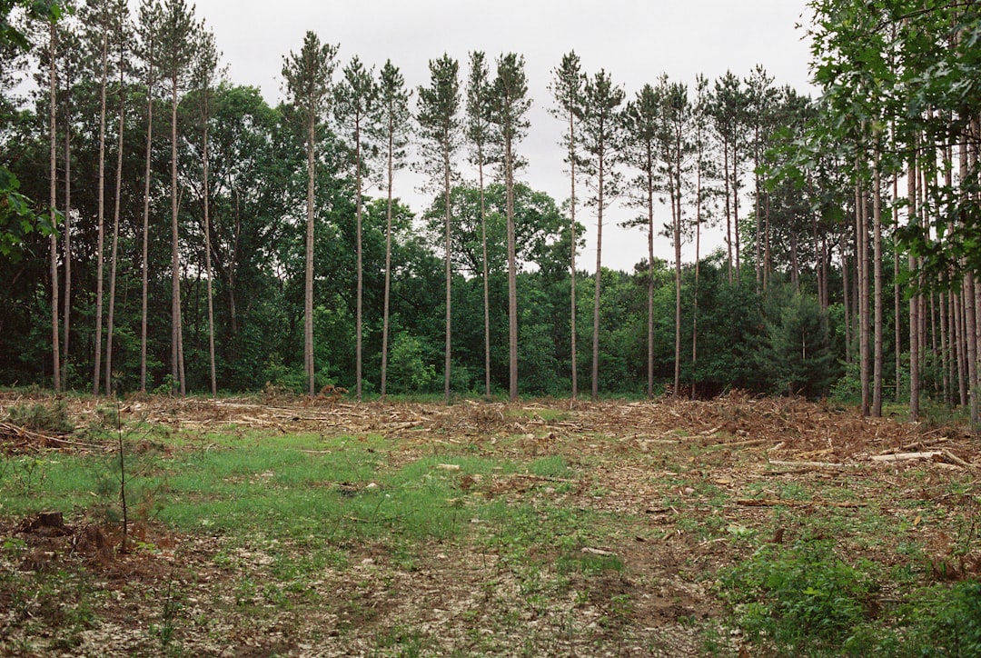 Selling vacant lots in Florida