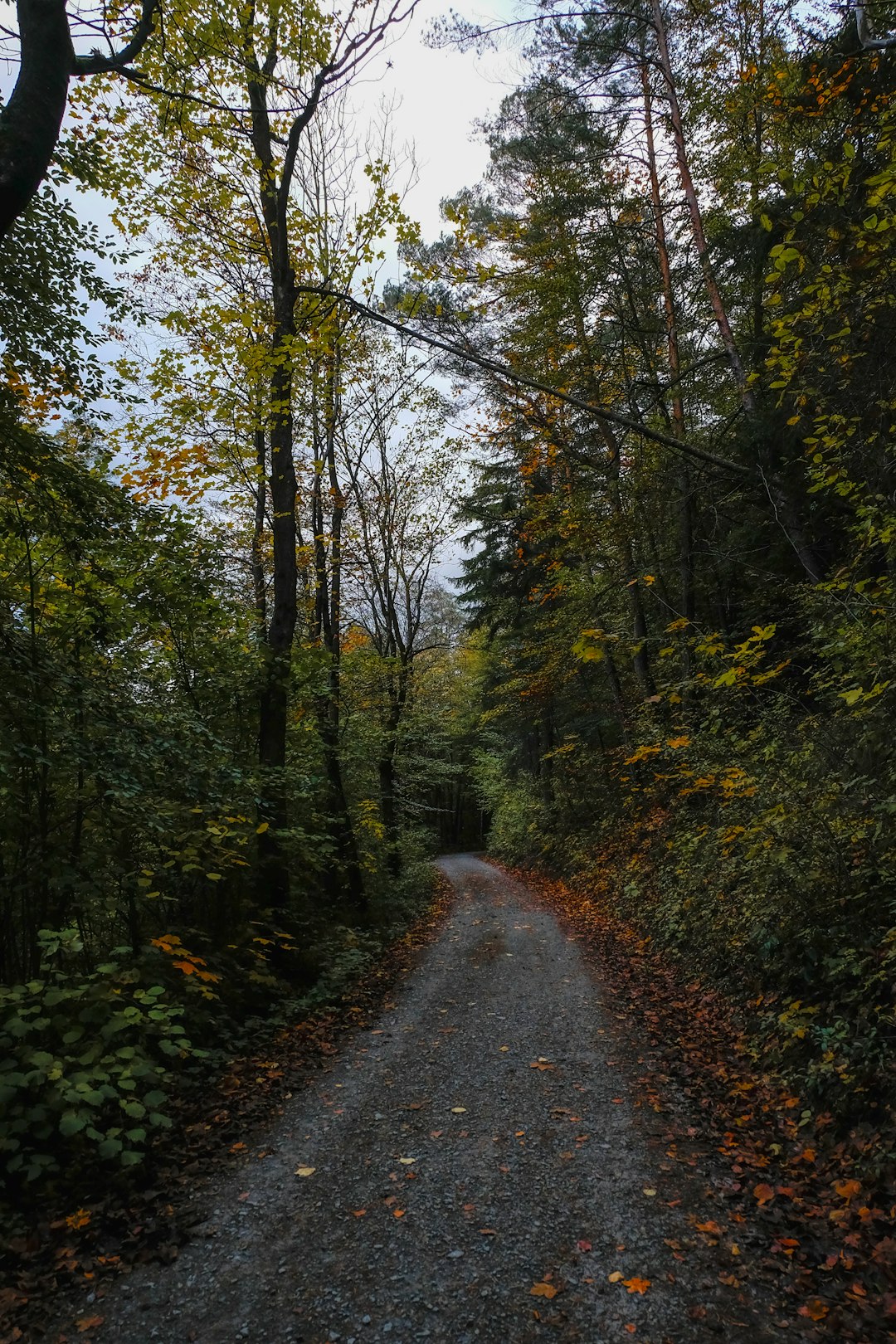 What is the value of Pennsylvania land when sold for cash money?