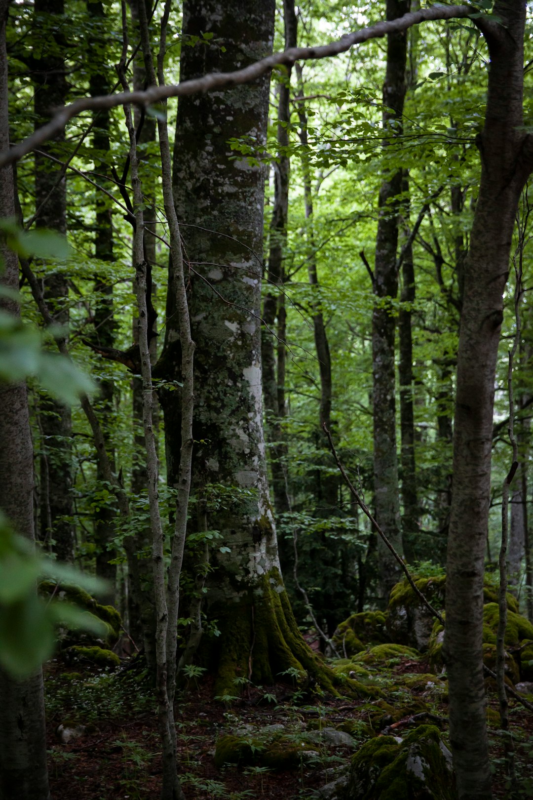 What is the worth of Ohio land when offering it for cash money?