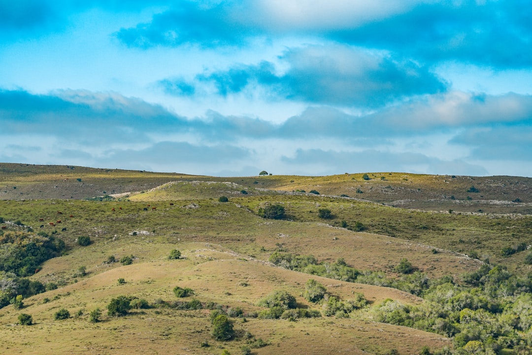 The process of selling Louisiana land for cash