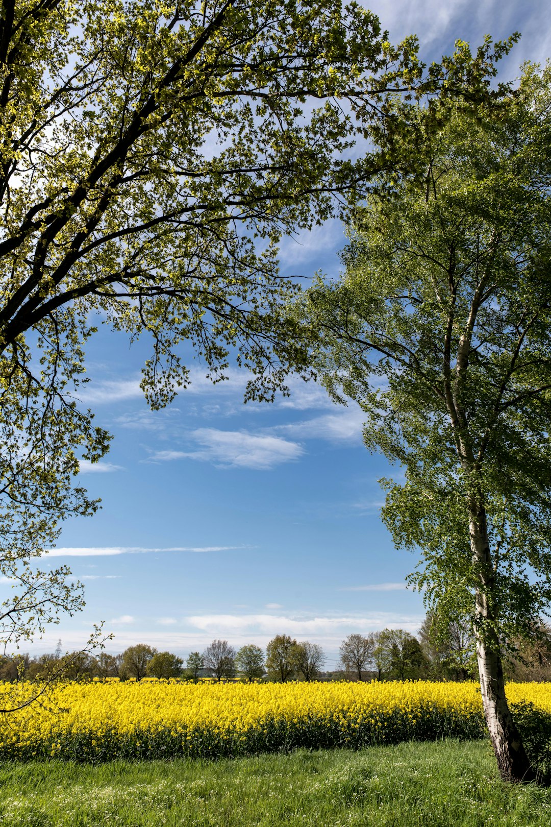 How to Easily Sell Your Georgia Land for Cash