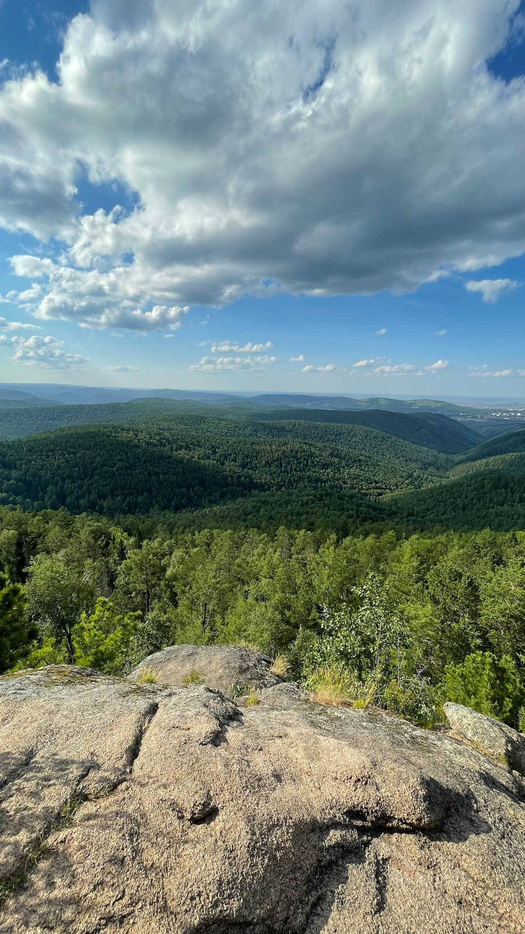 What is the value of Montana land when wanting to market it for cash money?