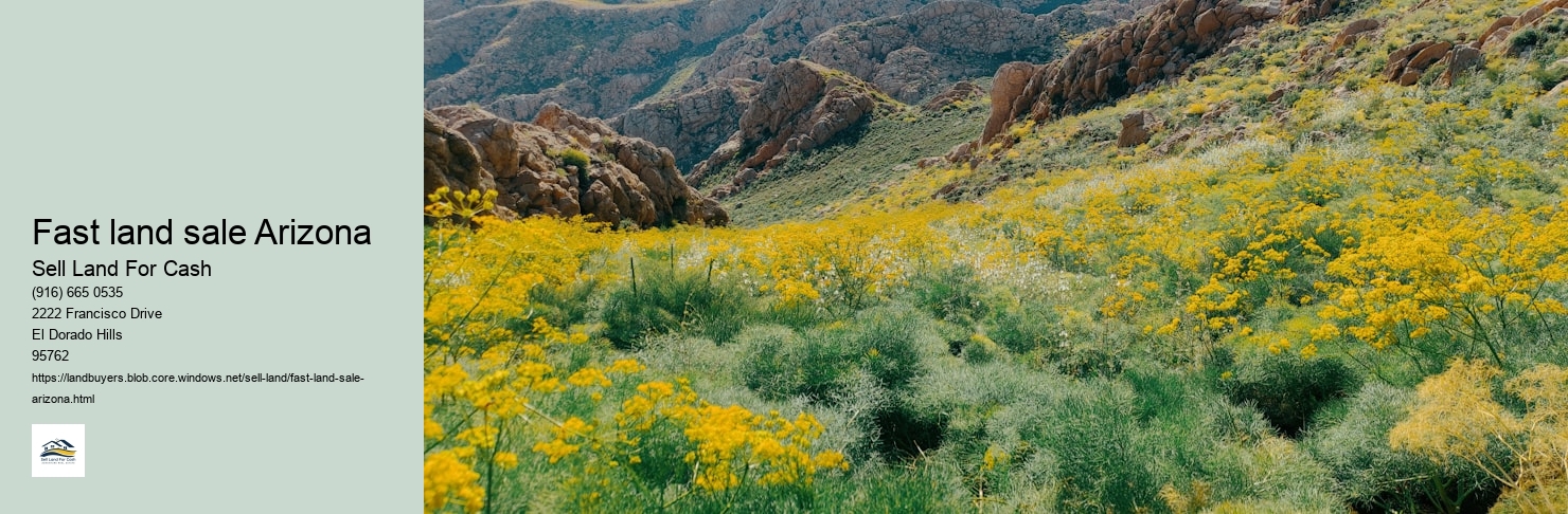 Fast land sale Arizona