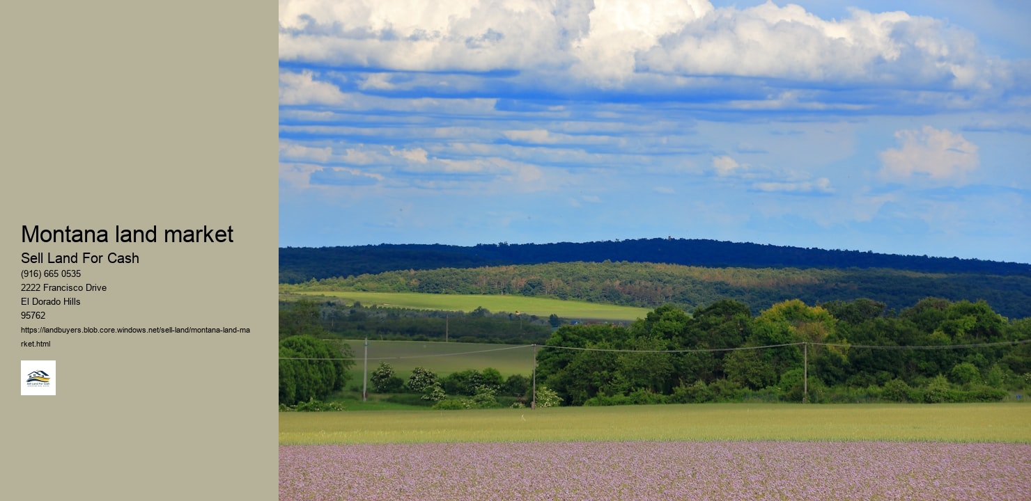 Montana land market